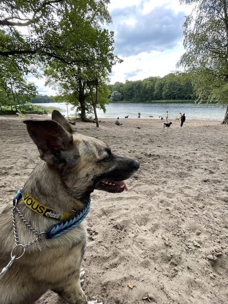 Photo of Berlin Grunewald